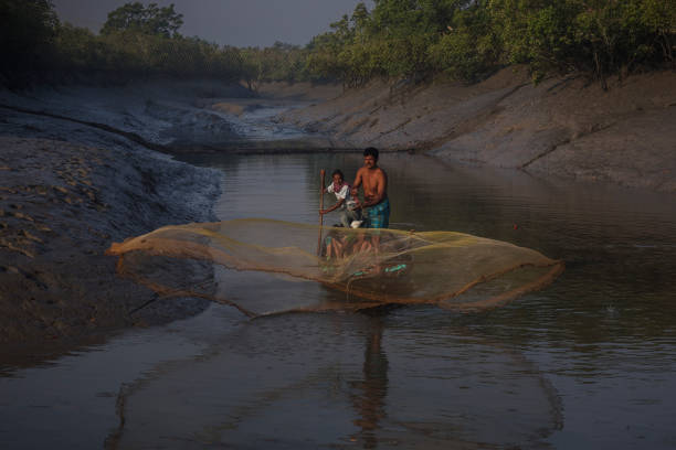 Experience the True Nature of Peace in Sundarban – Essential Travel Tips